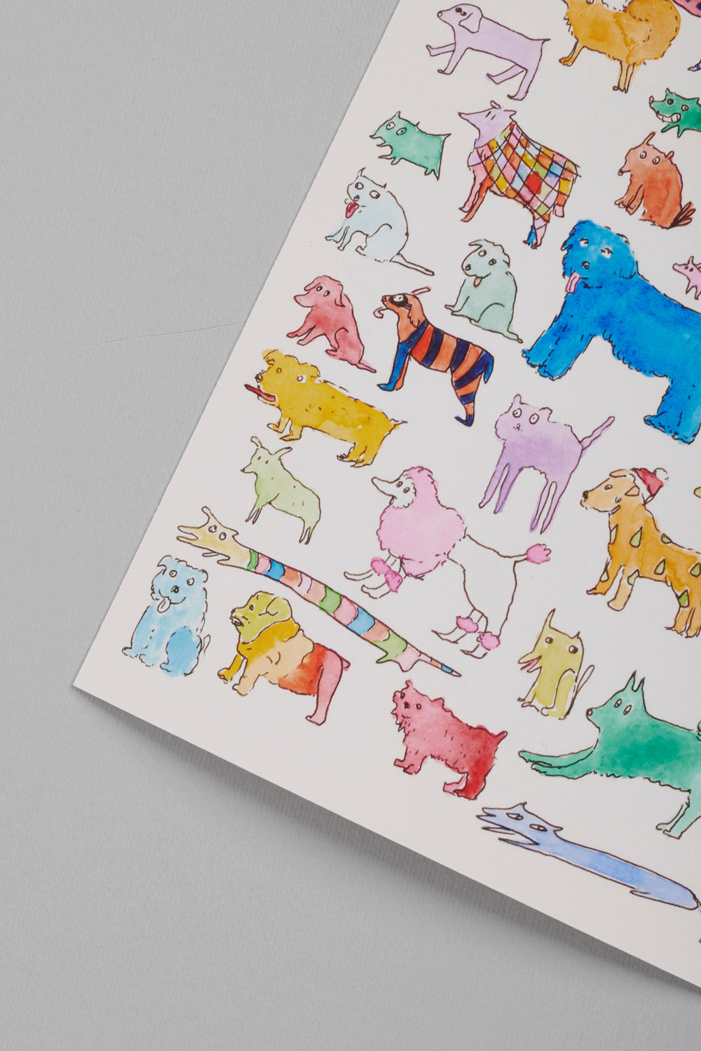 38 dogs