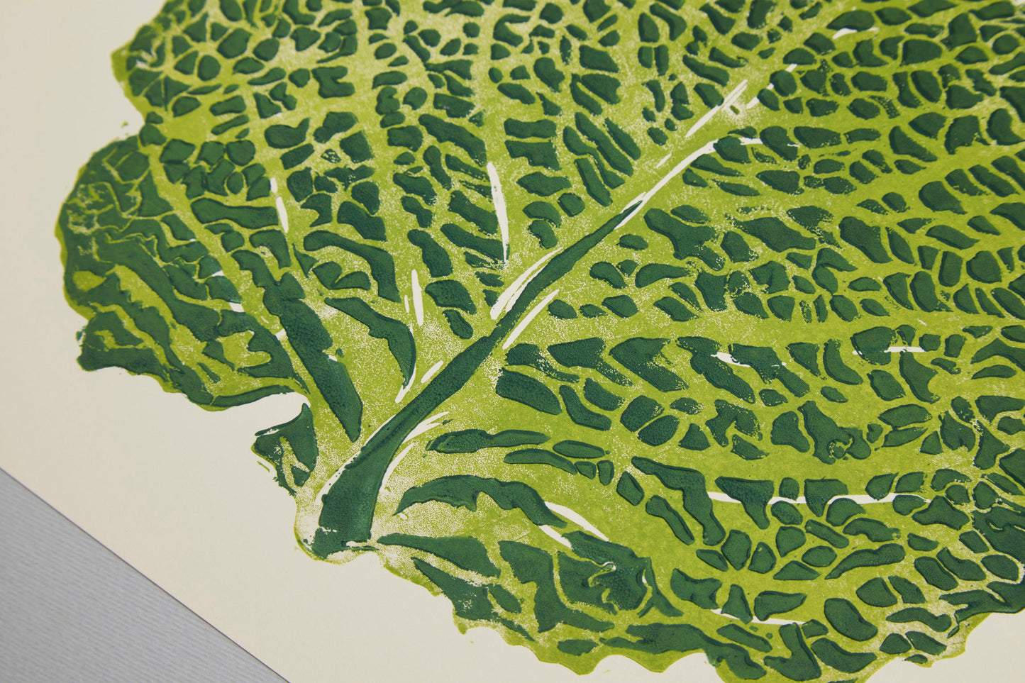 Savoy cabbage