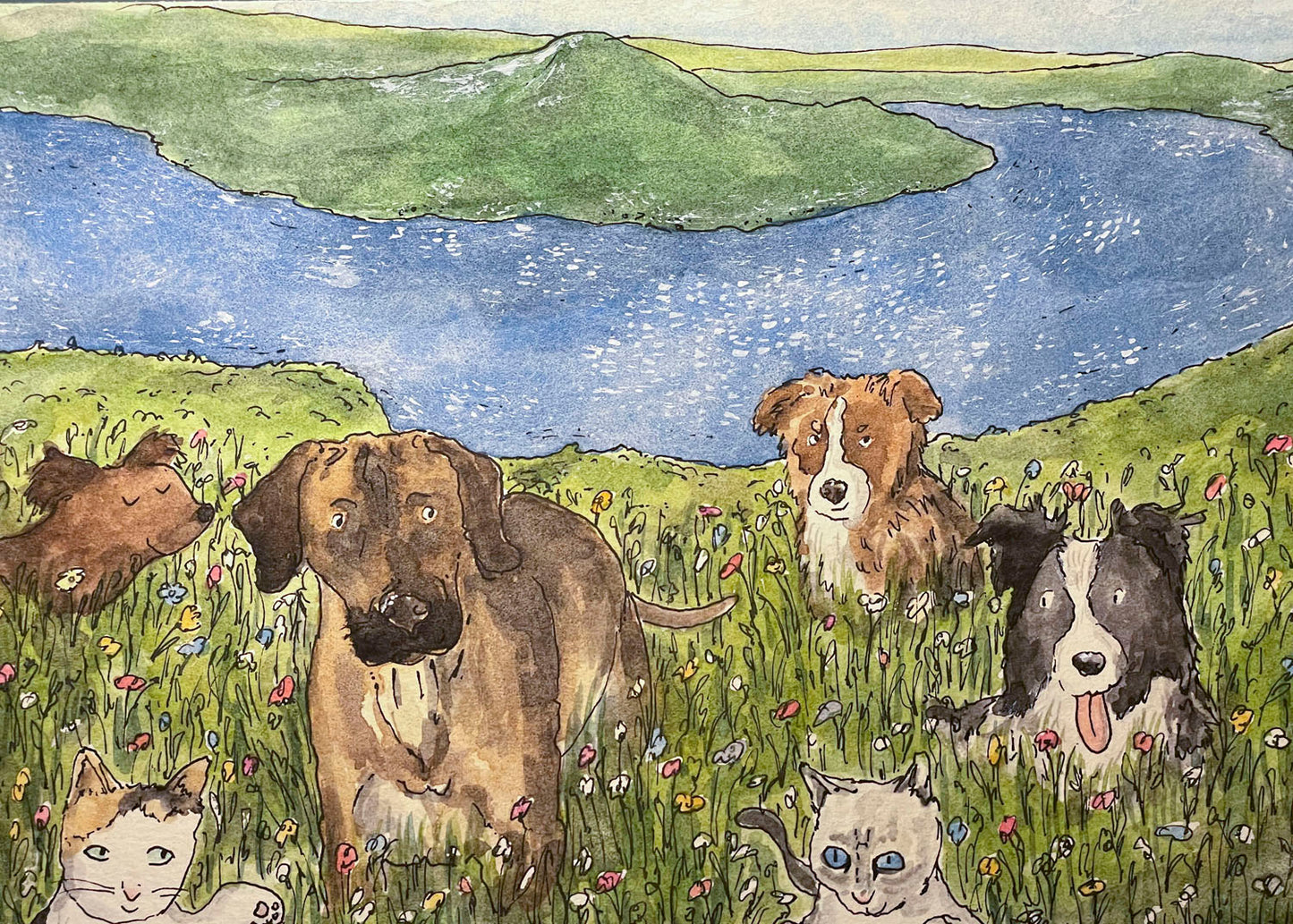 Commissioned pet portrait