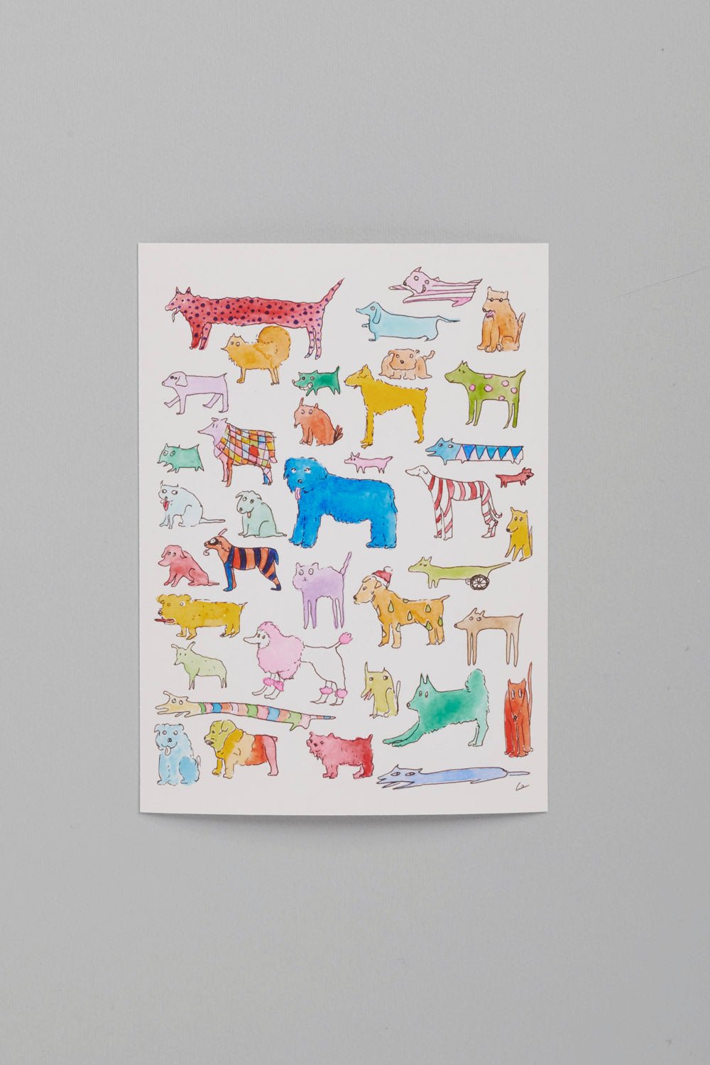 38 dogs