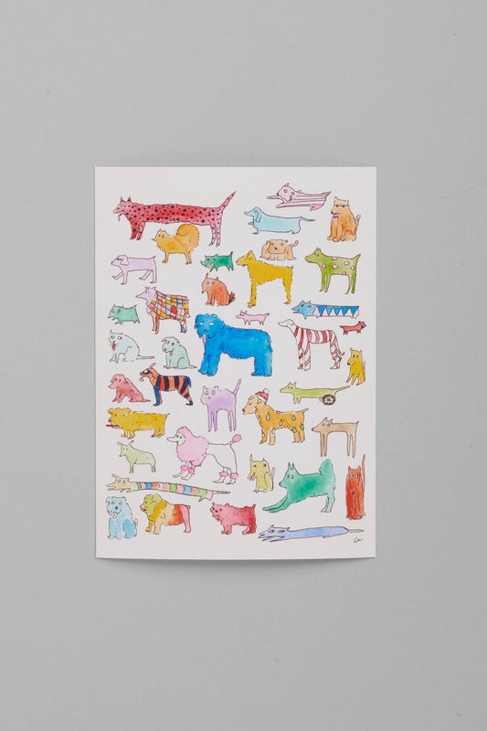 38 dogs