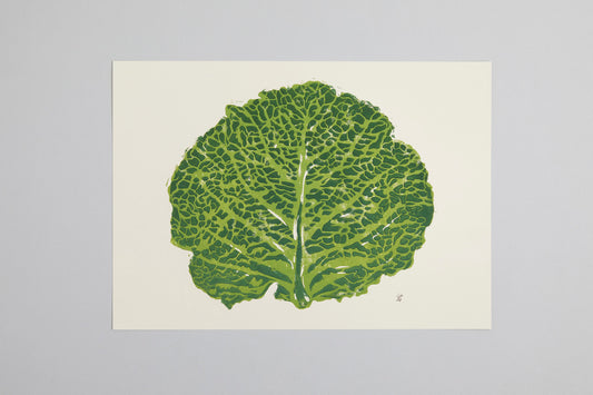 Savoy cabbage