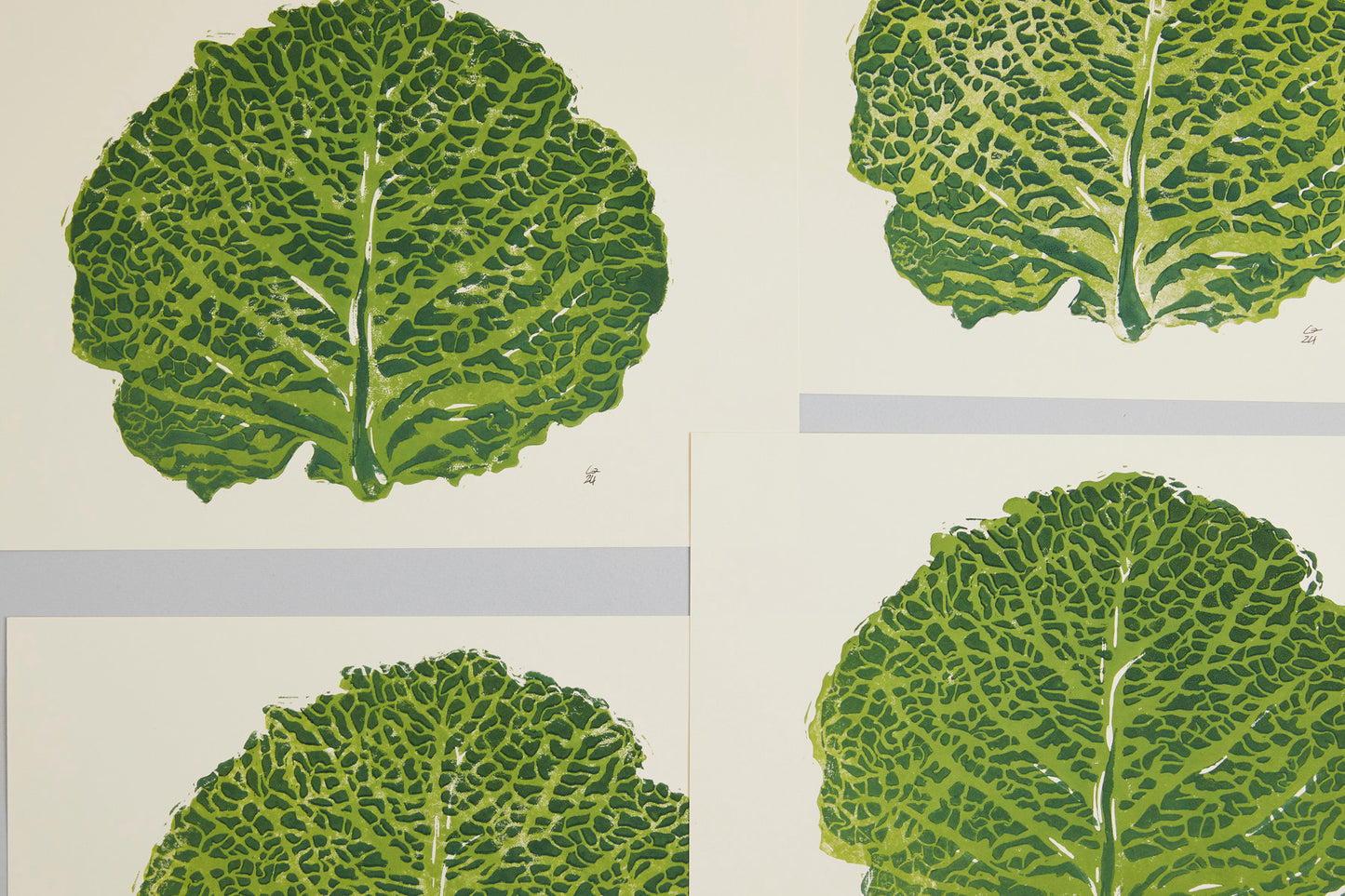 Savoy cabbage